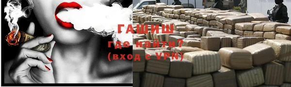 индика Дмитриев