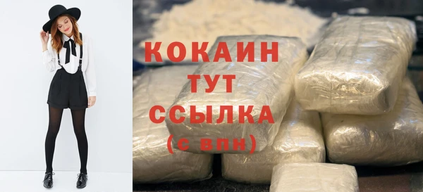 индика Дмитриев