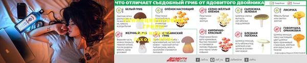 индика Дмитриев