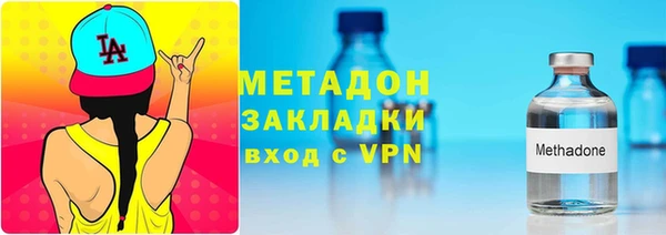 индика Дмитриев
