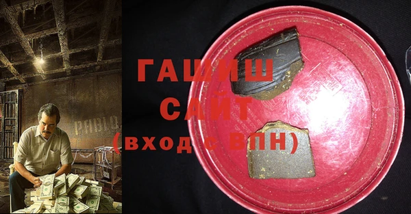 индика Дмитриев