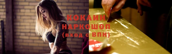индика Дмитриев