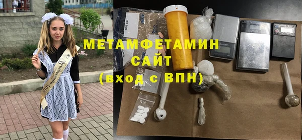 индика Дмитриев