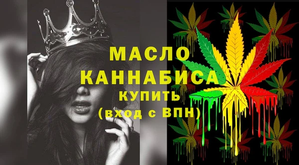 индика Дмитриев