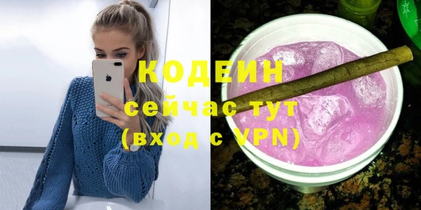 мет Елизово