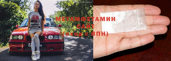 индика Дмитриев