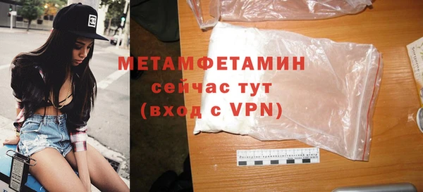 индика Дмитриев