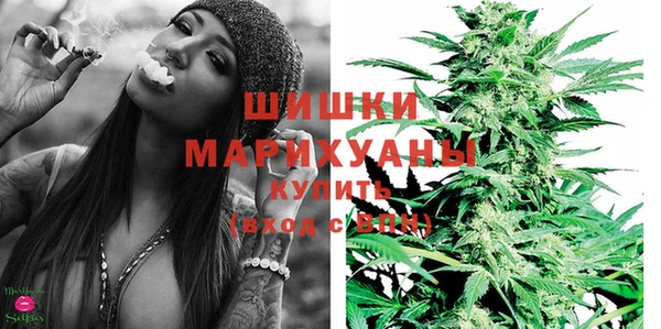 индика Дмитриев